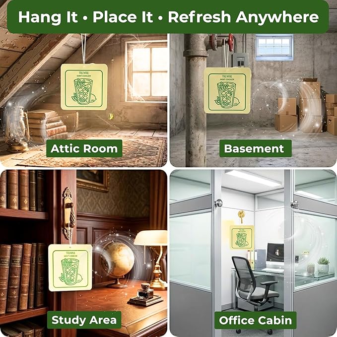 Mint Cooler - Room Deodorizer Gel Odor Eliminator For Home - Pack Of 3 - Bathroom Air Freshener Odor Absorber - Long Lasting Non Plug In Strong Scent For Kitchen Trash Basement Rv Closet Smell