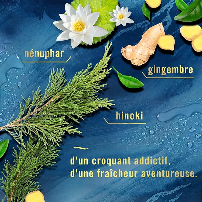 Febreze Plug In Air Freshener, Odor-Fighting Scented Oil Refill, Air Fresheners for Home & Bathroom and Kitchen,Long Lasting for Strong Odors,Ocean & Mountain Scents,0.87oz Refills,4 Count (Pack of 2)