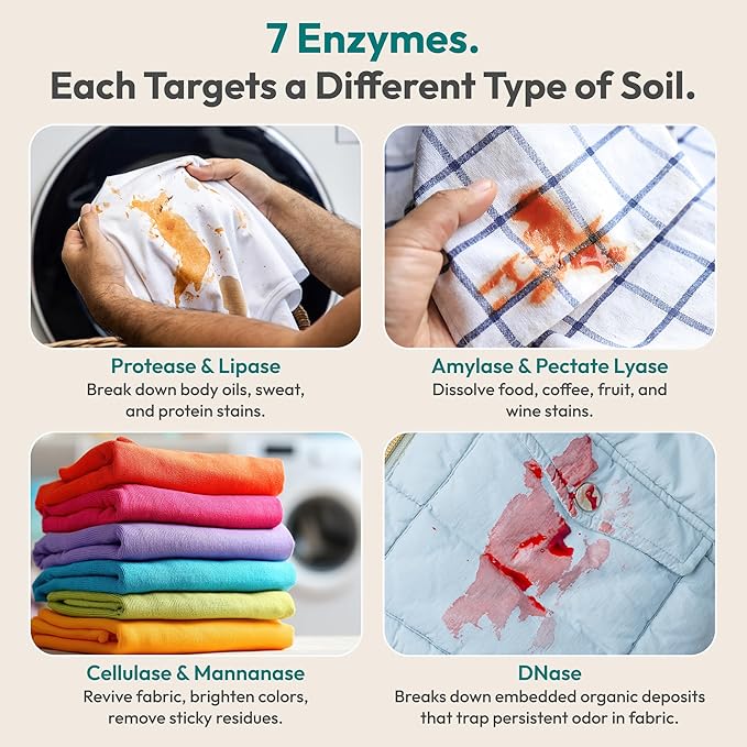 FEBU Enzyme Oxygen Laundry Booster | 7-Enzymes Including DNase | Odor Eliminator & Stain Remover for Sweat, Pet & Musty Odors | Concentrated Powder, Hypoallergenic, USA-Made | Fragrance Free, 2lbs