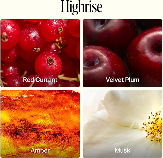 Preston Lane Luxury All-Purpose Cleaner, Highrise Scent | Bio-Based Multi-Surface Spray | Streak-Free Finish, Lifts Dirt, Smudges & Grease | Vegan & Cruelty-Free