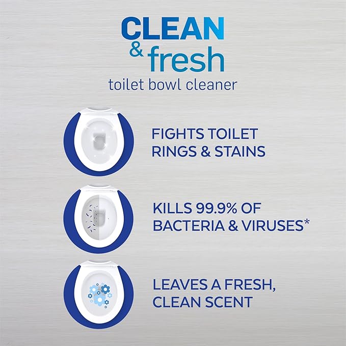 Lysol Power & Fresh Cling Toilet Bowl Cleaner Value Pack, Country Scent, 48 oz