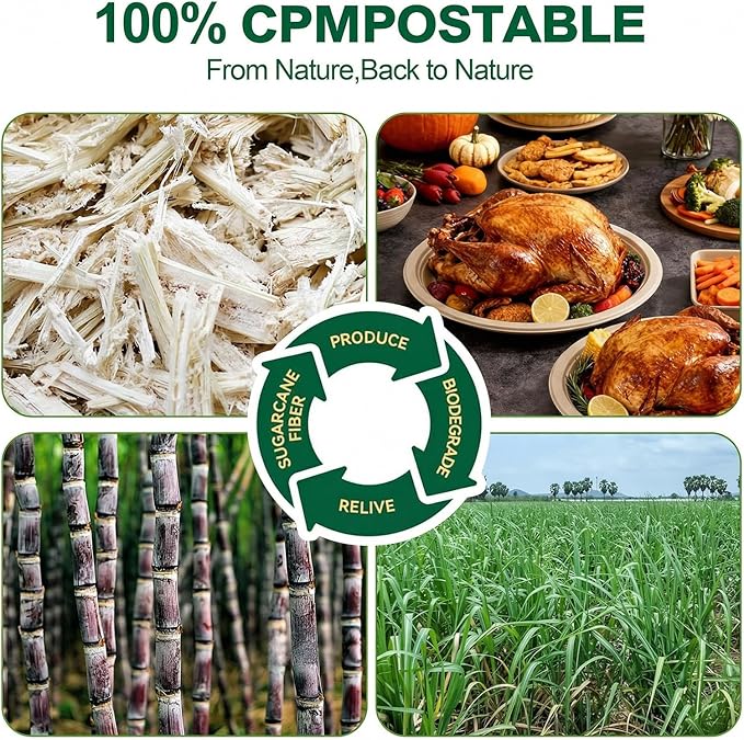 DaYammi 100% Compostable Oval Paper Plates 12 Inch, 60-Pack Heavy Duty Paper Plates Bulk,Biodegradable Bagasse,Eco-Friendly Disposable Dinner Plate for BBQ,Picnic,Party (BPI Certified,Microwaveable)