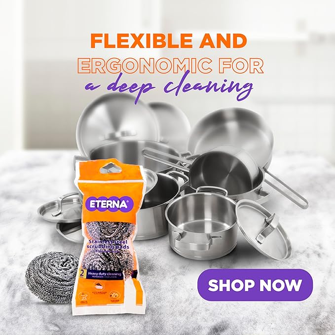 ETERNA Stainles Steel Scrub Bag, Dish Scrubbers for Cleaning Kitchen and Household, Steel Scrubbers for Cleaning Dishes, 2 Scrubbers