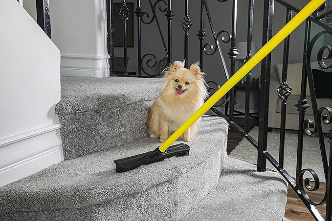 Simpli-Magic Fur Removing Push Broom with Squeegee