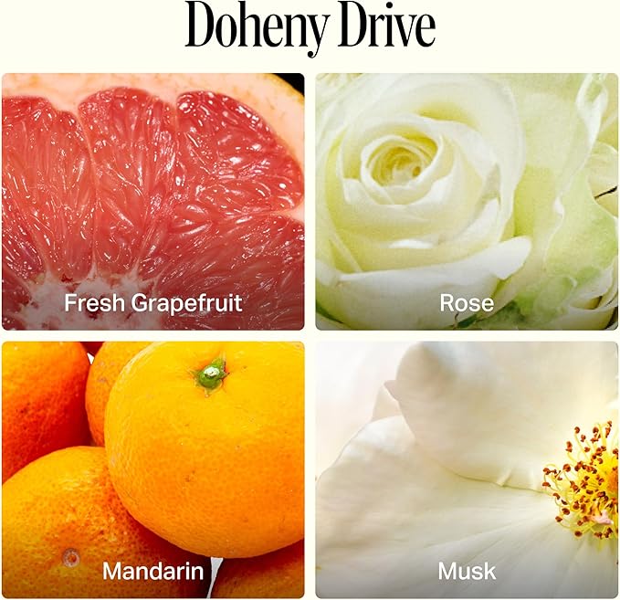 Preston Lane Luxury All-Purpose Cleaner, Doheny Drive Scent | Bio-Based Multi-Surface Spray | Streak-Free Finish, Lifts Dirt, Smudges & Grease | Vegan & Cruelty-Free