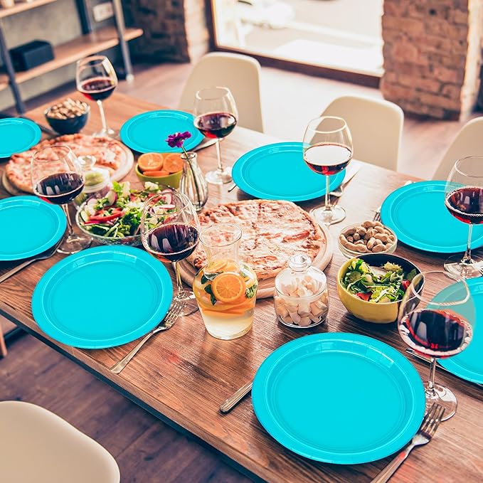 QZYL 50 PCS Paper Plates, Light Blue Round Disposable Party Plates, 9 Inches Paper Dinnerware for Everyday Use, Heavy Duty Tableware Pack for Birthday Wedding Baby Shower Christmas Party