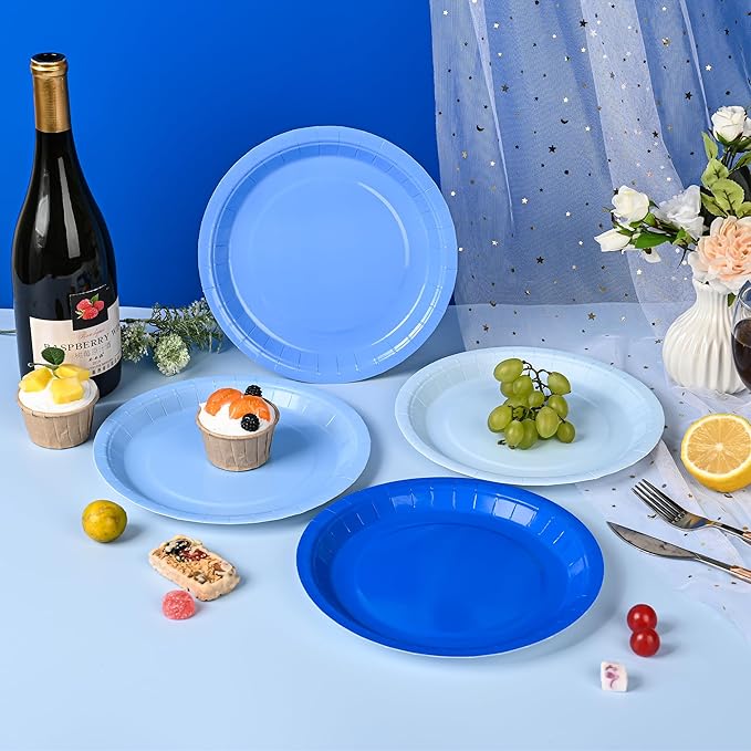 AimFun 24Pcs Blue Party Plates Gradient Blue Paper Plates 9 Inch Disposable Round Dinner Dessert Plate for Summer Beach Ocean Birthday Wedding Baby Shower Hanukkah Party Supplies