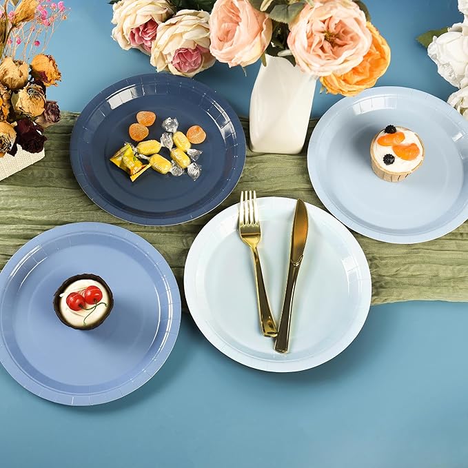 AimFun Dusty Blue Paper Plates Hanukkah Gradient Blue Party Plate 9 Inch Disposable Round Dinner Dessert Plates for Father’s Day Wedding Baby Bridal Shower Party Supplies Tableware Decor