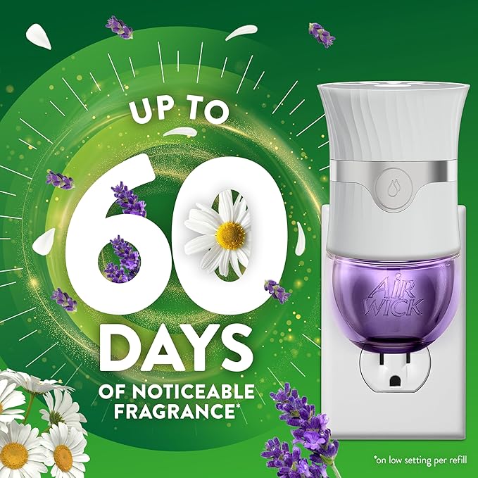 Air Wick Scented Oils 0+6 Lavender
