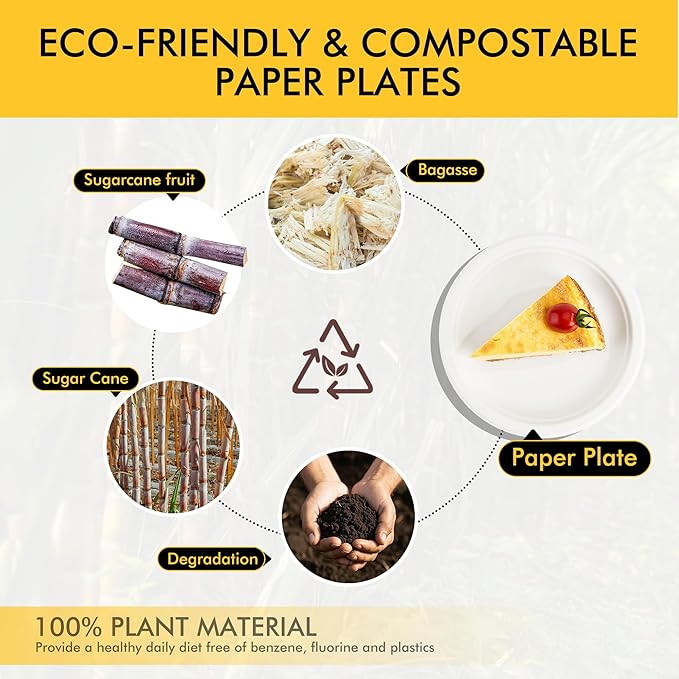 RACETOP Compostable Small Paper Plates 6 Inch [100 Pack], Dessert Plates, Disposable Biodegradable Heavy Duty Paper Plates, Made of Natural Sugarcane Fibers, Unbleached White, Round