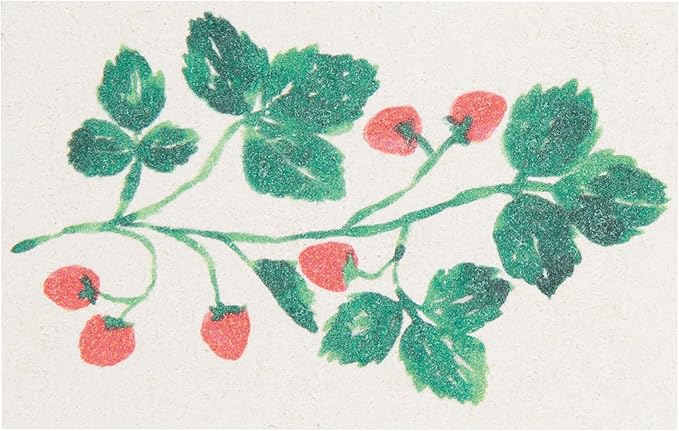 Now Designs Berry Bramble Pop Up Sponges Set of 4, Eco-Friendly Cellulose, Compostable & Biodegradable, 2.75 x 4.25in