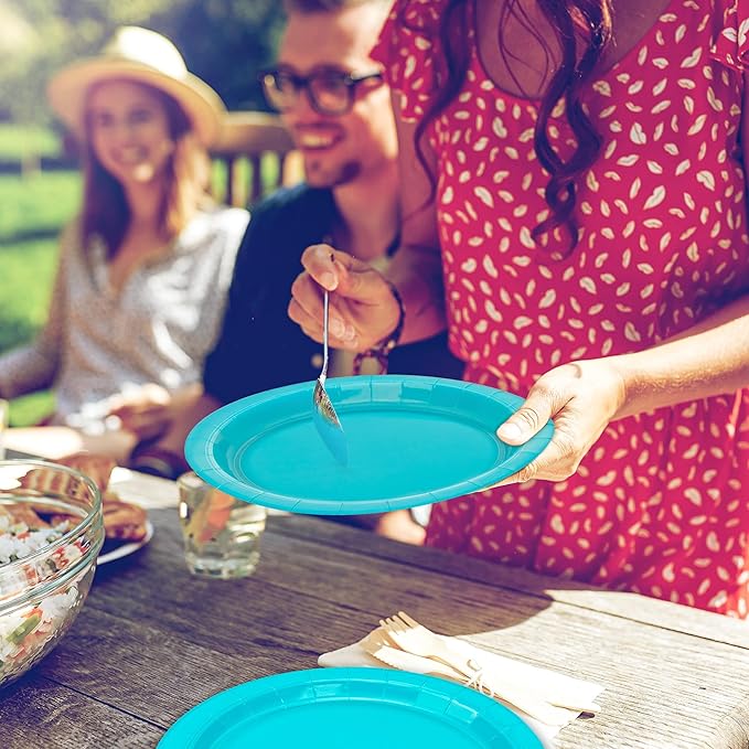 QZYL 50 PCS Paper Plates, Light Blue Round Disposable Party Plates, 9 Inches Paper Dinnerware for Everyday Use, Heavy Duty Tableware Pack for Birthday Wedding Baby Shower Christmas Party
