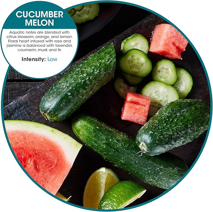 Fresh Products ourfreshe Plug In Air Freshener 30 Day Refills Replace Messy Aerosols with Dry Fragrance For Use in Medium Sized Spaces Cucumber Melon 6 Pack