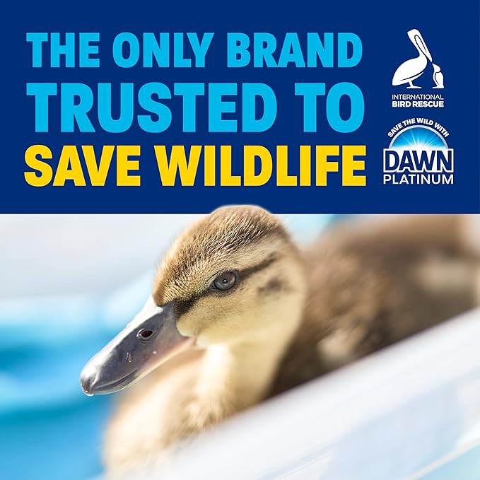 Dawn Dishwashing Liquid, Original Scent, 38 fl oz