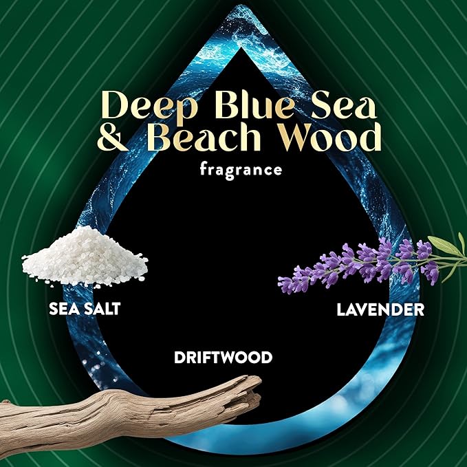 Air Wick Vibrant Air Freshener Plug Ins Scented Oil Refills, 10 Count, Deep Blue Sea & Beach Wood, Home Essentials