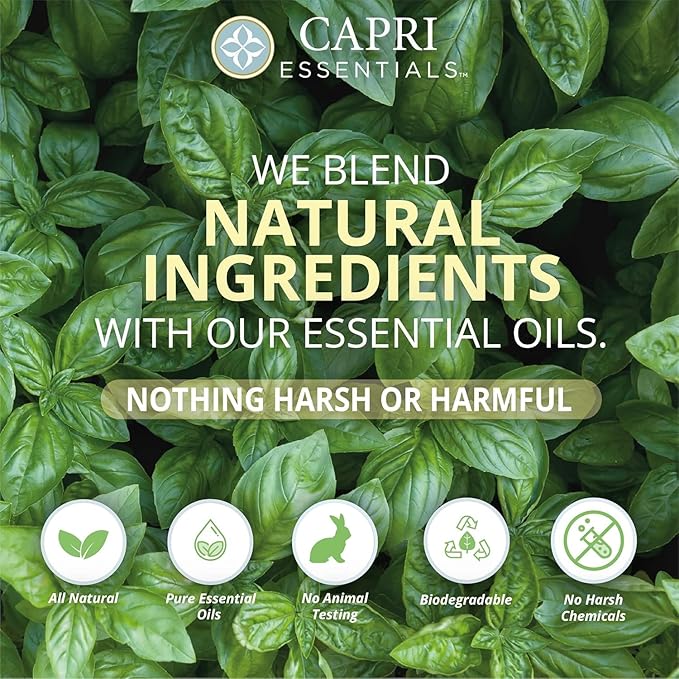 CAPRI ESSENTIALS Dish Soap Liquid, Natural Household Cleaning, Plant Based Aromatic Dish Detergent, Blend of Essential Oils with Almond Oil, Eucalyptus & Peppermint, Sweet Basil, 16 FL Oz (3 Pack)