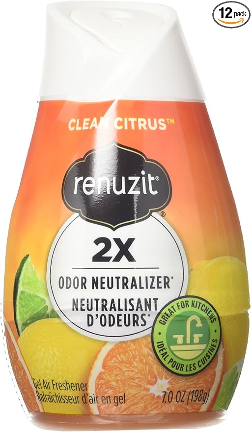 Renuzit Citrus Sunburst Air Freshener 7.0 oz (Pack of 12)