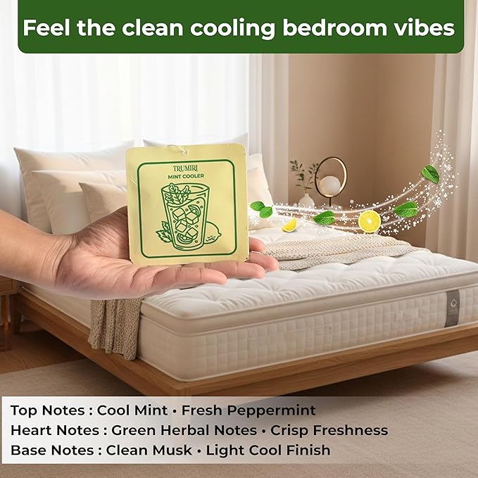 Mint Cooler - Room Deodorizer Gel Odor Eliminator For Home - Bathroom Air Freshener Odor Absorber - Closet Deodorizer - Long Lasting Non Plug In Strong Scent For Kitchen Trash Basement Rv Smell