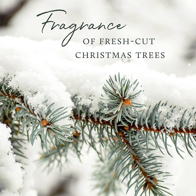 Thymes Frasier Fir Laundry Fragrance Oil for Dryer – Scented Laundry Supplies (0.5 fl oz)