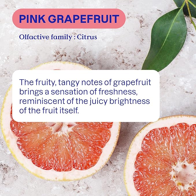ATTITUDE Odor Eliminator with Activated Carbon, Plant-Based Air Purifier, Vegan, Pink Grapefruit Scent, 8 Ounces (Pack of 12)