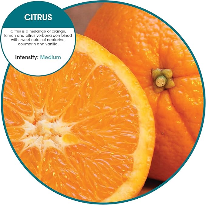 Fresh Products Eco Bowl Clip 2.0 Toilet Bowl Air Freshener, Citrus Scent, 4 Clips