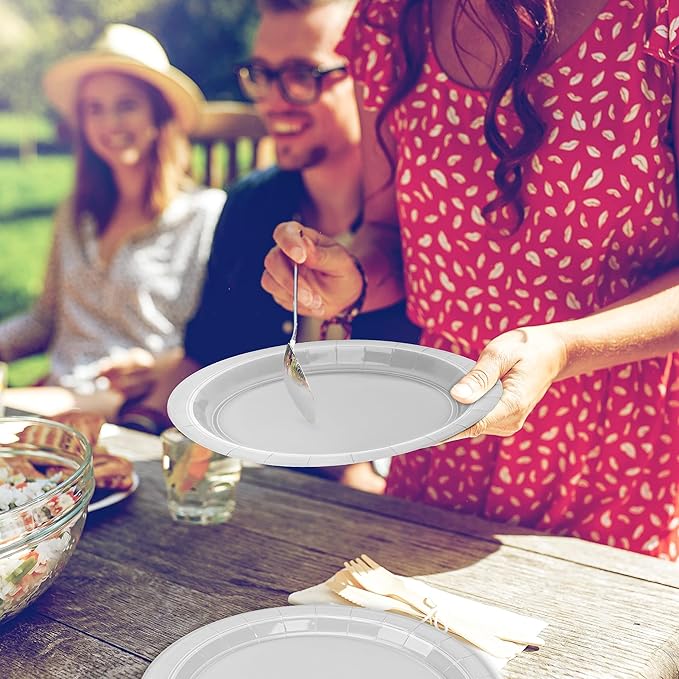 QZYL 50 PCS Paper Plates Set, Silver 9 Inches Disposable Dinner Plates, Heavy Duty Party Plates Bulk, Round Paper Dinner Plates for Daily Meals Party Picnic Wedding Birthday Anniversary Christmas