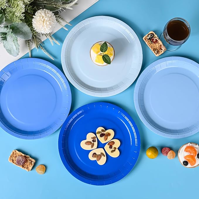 AimFun 24Pcs Blue Party Plates Gradient Blue Paper Plates 9 Inch Disposable Round Dinner Dessert Plate for Summer Beach Ocean Birthday Wedding Baby Shower Hanukkah Party Supplies