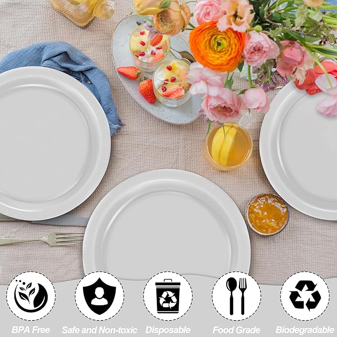 QZYL 50 PCS Paper Plates Set, Silver 9 Inches Disposable Dinner Plates, Heavy Duty Party Plates Bulk, Round Paper Dinner Plates for Daily Meals Party Picnic Wedding Birthday Anniversary Christmas