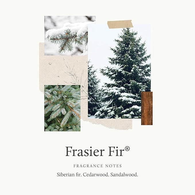 Thymes Frasier Fir Laundry Fragrance Oil for Dryer – Scented Laundry Supplies (0.5 fl oz)