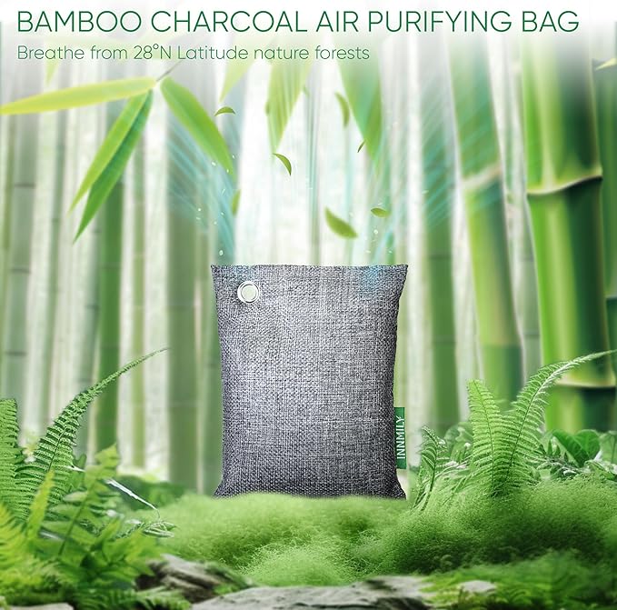 Innmily Activated Charcoal Odor Absorber, Odor Eliminator for Strong Odor,Bamboo Charcoal Air Purifying Bags for Shoe Home Car Closet Pet, Sneaker Deodorizer, Smoke Room Deodorizer(4 x 200g)