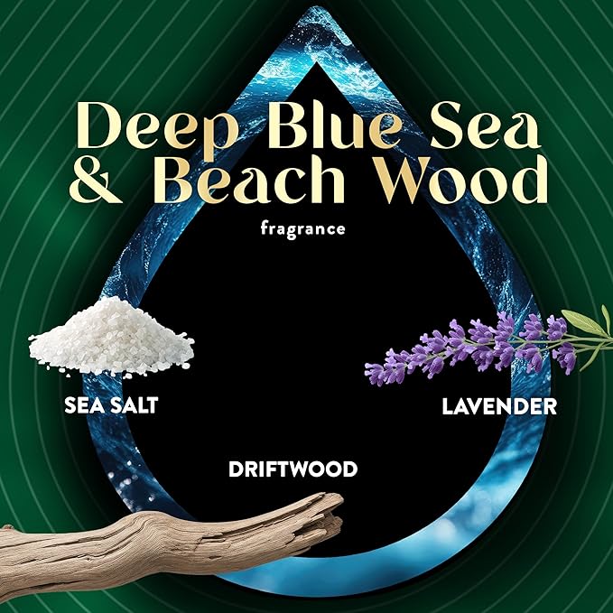 Air Wick Vibrant Plug In Scented Oil Refill, Infused with Essential Oils, Plug In Air Fresheners for Home, Deep Blue Sea & Beach Wood, 5 ct