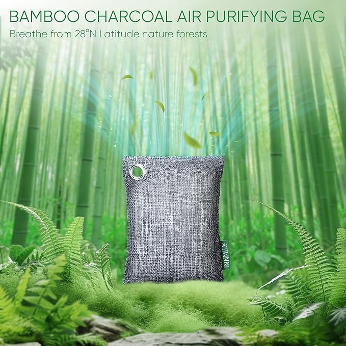 Innmily Activated Charcoal Odor Absorber, Odor Eliminator for Strong Odor,Bamboo Charcoal Air Purifying Bags for Shoe Home Car Closet Pet, Sneaker Deodorizer, Smoke Room Deodorizer(10 x 100g)