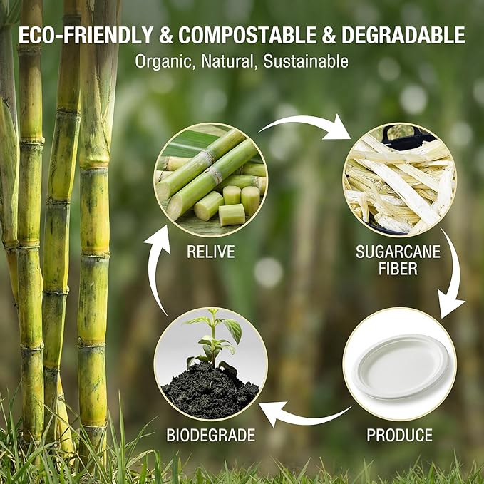 Tinybee 100% Compostable Oval Paper Plates 12 Inch [50-Pack] Heavy Duty Large Paper Plates, Biodegradable Bagasse Platters, Eco-Friendly Dinner Plate for BBQ/Picnic/Party (BPI Certified,Microwaveable)