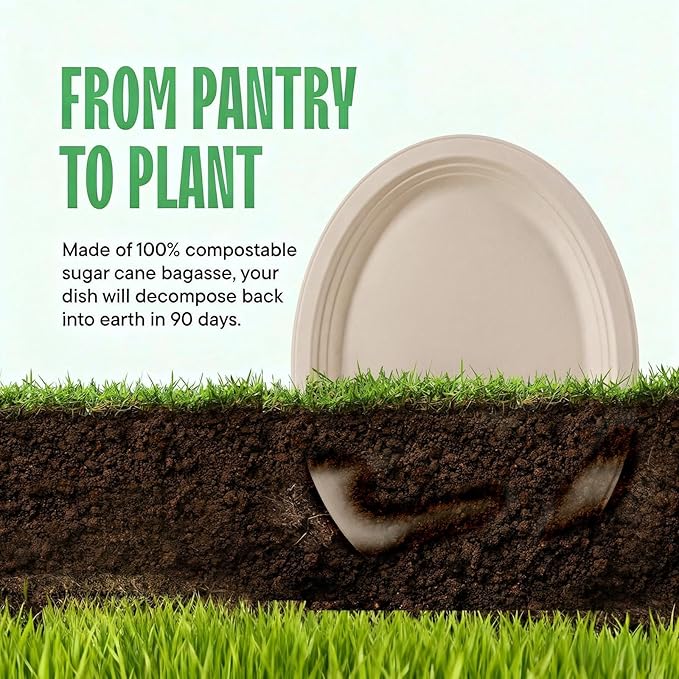 DaYammi 100% Compostable Oval Paper Plates 12 Inch, 60-Pack Heavy Duty Paper Plates Bulk,Biodegradable Bagasse,Eco-Friendly Disposable Dinner Plate for BBQ,Picnic,Party (BPI Certified,Microwaveable)