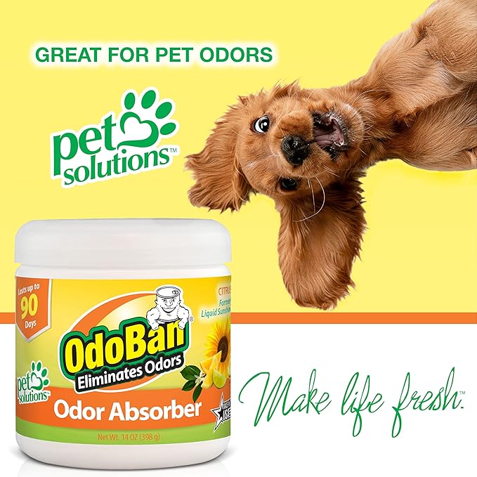 OdoBan Solid Odor Absorber Eliminator for Home and Small Spaces, Citrus Scent, 14 Ounces Each, 12-Pack
