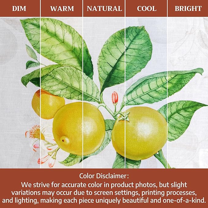 Maison d' Hermine Kitchen Towels Set of 3 100% Cotton 27.50" x 20" Reusable Cloth Tea Dish Towels Absorbent with Hanging Loop for Kitchen Farmhouse Hotel Spring Summer - Limoncello
