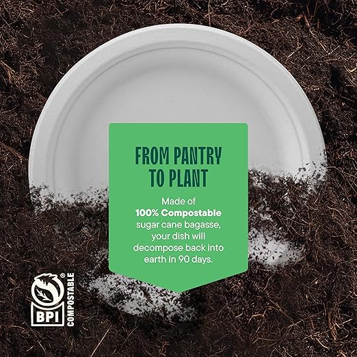 100% Compostable Paper Plates, Heavy Duty Disposable Plates [125-Pack] 9 Inch Plates - Eco-Friendly, Biodegradable Sugarcane Bagasse, Natural White 9" Sturdy Dinner Paper Plate Disposable