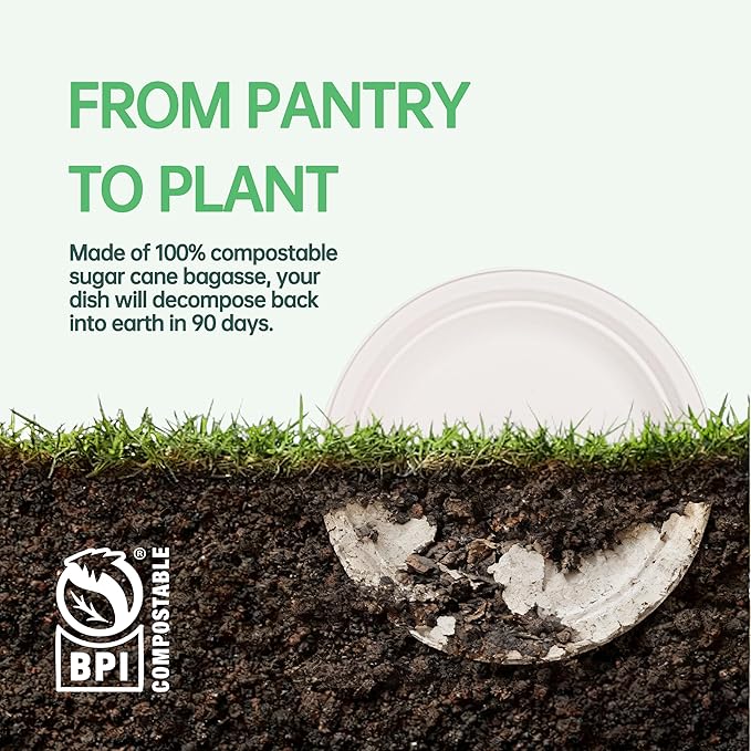 DaYammi 100% Compostable Paper Plates 9 Inch, 60-Pack Heavy Duty Paper Plates Bulk,Biodegradable Bagasse,Eco-Friendly Disposable Dinner Plate for BBQ,Picnic,Party (BPI Certified,Microwaveable)