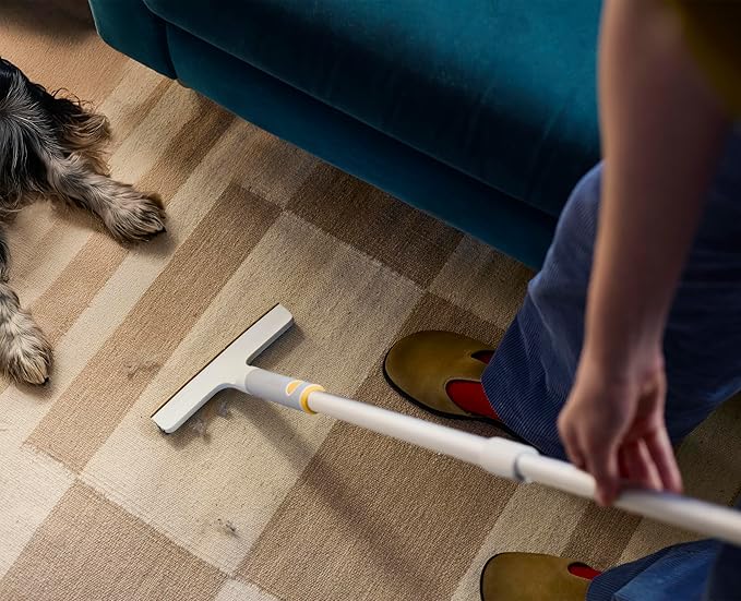 Joseph Joseph CleanTech 3pc Pet Hair Cleaning Tool Set, Manual Rake for Carpet, Upholstery & Furniture with Extension Pole