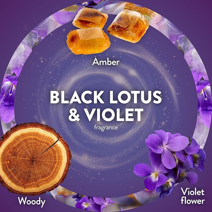 Air Wick Plug In Scented Oil Refill, Infused with Essential Oils, Plug In Air Fresheners for Home, Black Lotus & Violet, 5 ct