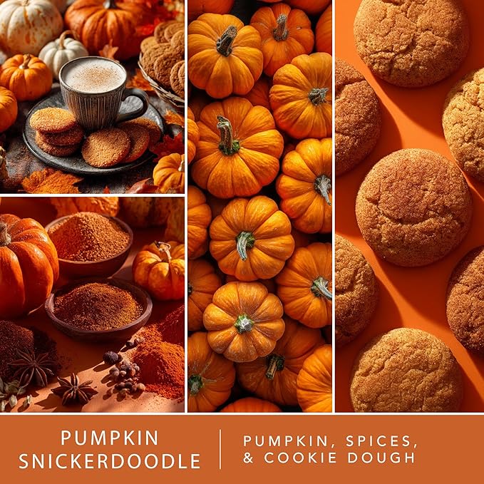 ScentSationals Pumpkin Snickerdoodle Fragrance Oil Plug In Air Freshener Refills 3-Pack - Works with Scentsationals Wall Plugs, Long-Lasting Home Fragrance, 0.8 fl oz Each, Packaging May Vary