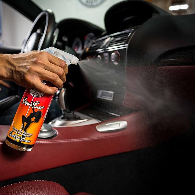 Chemical Guys AIR_069_04 Signature Scent Premium Air Freshener and Odor Eliminator, Smell of Success (Great for Cars, Trucks, SUVs, RVs, Home, Office & More) 4 fl oz