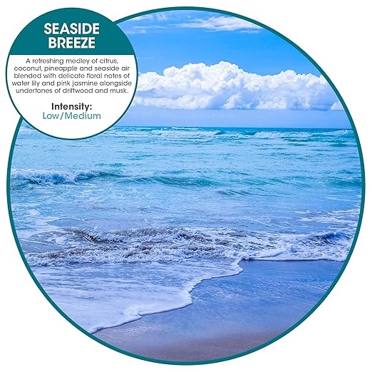 Fresh Products myfresh 2.0 Personal Air Freshener with Dry Fragrance Technology for Small Spaces Compact Design Motion Sensor Battery Included Seaside Breeze 6 pk