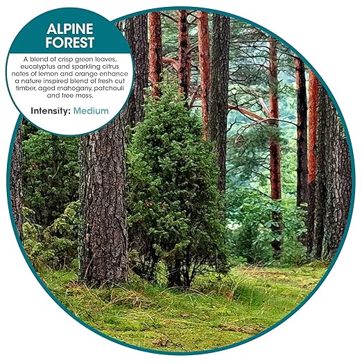 Fresh Products myfresh 2.0 Personal Air Freshener with Dry Fragrance Technology for Small Spaces Compact Design Motion Sensor Battery Included Alpine Forest 6 pk