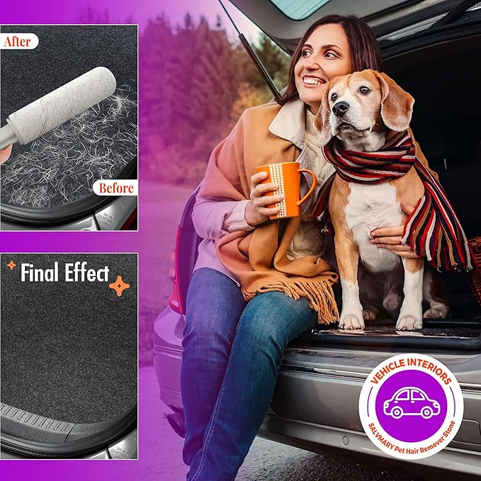SALVMARY Pumice Stone Toilet Bowl Cleaner with Handle Hard Water Stain Remover for Household Cleaning, Pet Hair Remover Pumice Stone Cat Dog Fur Removal Tool, White 1 Pack