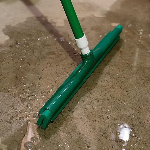 Carlisle FoodService Products 4156709 Spectrum Plastic Foam Rubber Hygienic Squeegee, 18" Length, Green (Case of 6)